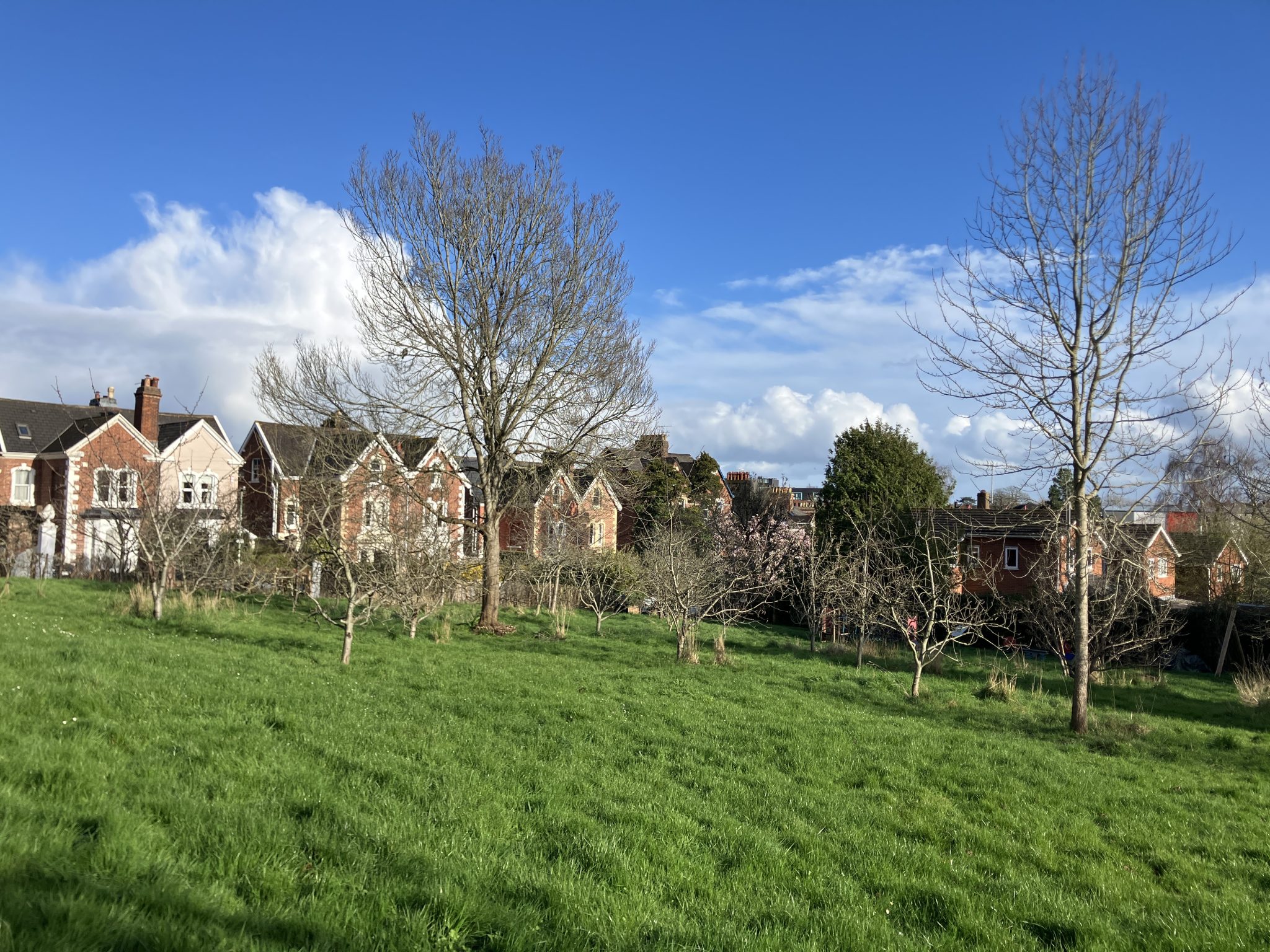 Devonshire Place Community Orchard provided a very welcome resting place.